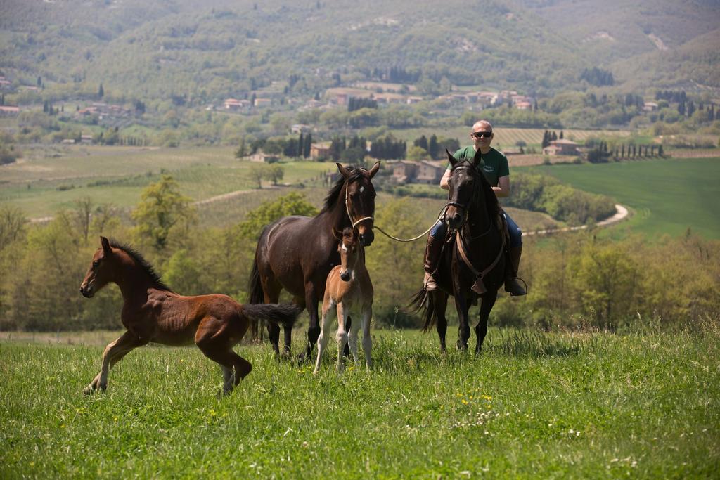 Poggiovalle Tenuta Italiana Città della Pieve Exterior foto