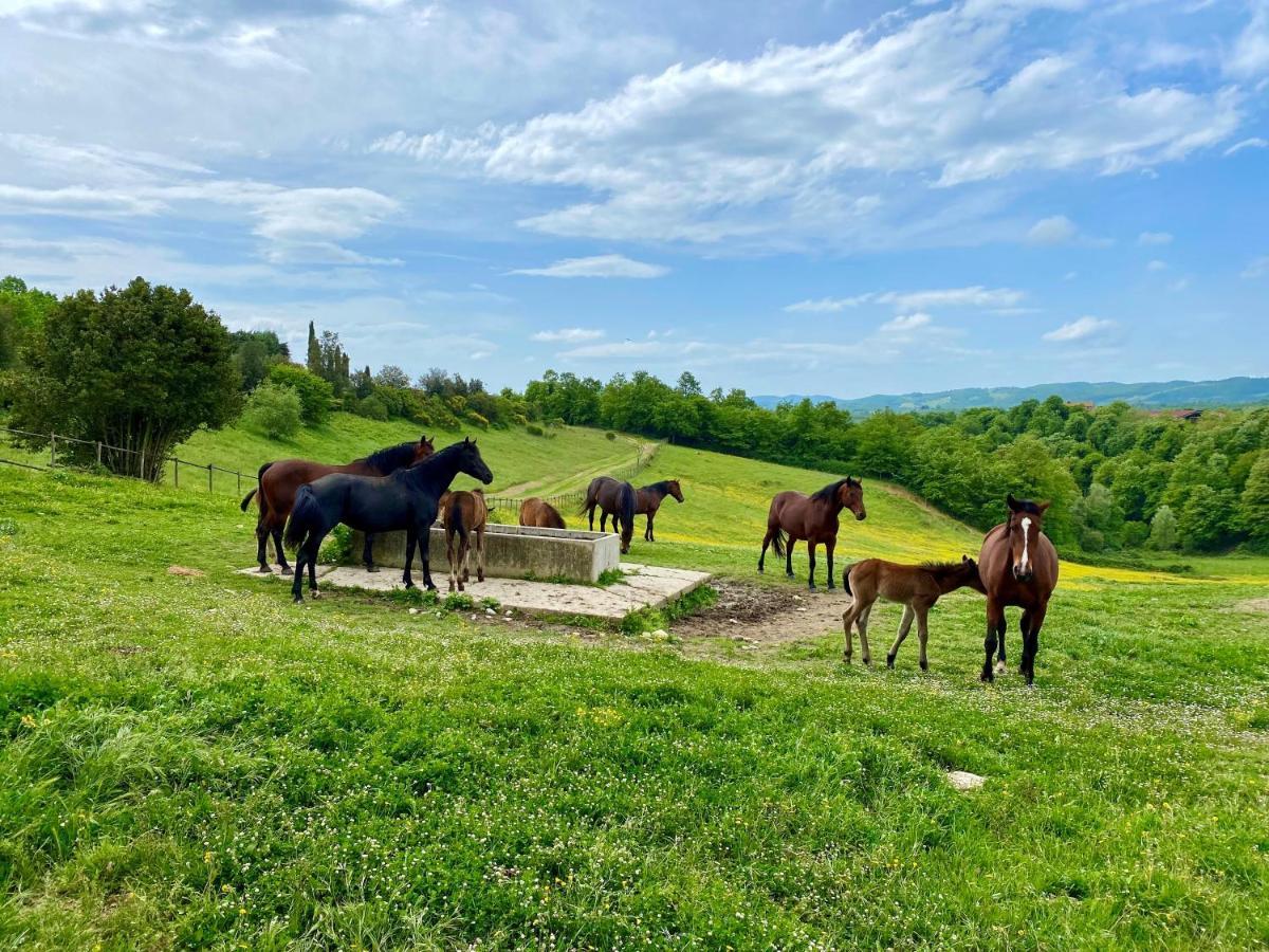 Poggiovalle Tenuta Italiana Città della Pieve Exterior foto